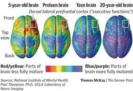Aging Brain