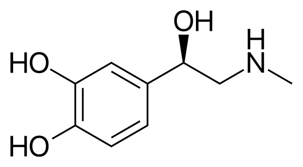 Adrenaline / Epinephrine