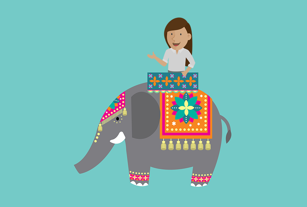 The elephant and the rider